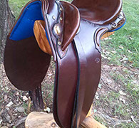Traditional Saddles