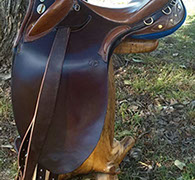 Traditional Saddles